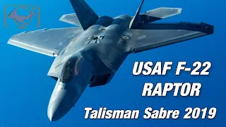 Talisman Sabre 2019 - USAF 90th Fighter SQN "Dicemen" in Australia