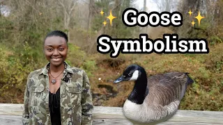 Goose Spirit Animal Totem | Devote yourself to those who care for you