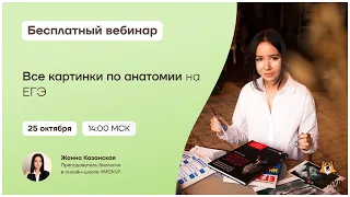 Все картинки по анатомии на ЕГЭ | Биология ЕГЭ | Умскул