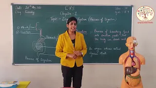 CLASS-4|| EVS ||LESSON 1|| DIGESTIVE SYSTEM ||GURUKULAM ONLINE CLASS