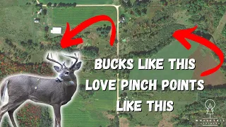 What Does a Deer Pinch Point Look Like?