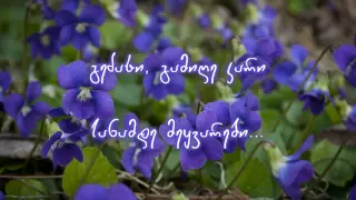 Nino Katamadze - Violets (iebi) +Lyrics