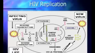 Basic Course in HIV - Pathophysiology and Natural History of HIV Infection