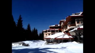 Апартаменты на горнолыжном курорте Пампорово в Болгарии