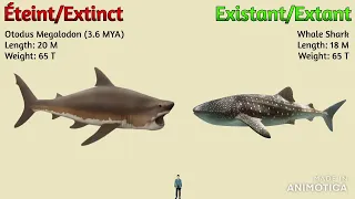 The ULTIMATE Animal Size Comparison Cooperation Megafauna (Mixed 1 & 2) [Peter Axewton Only]
