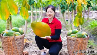 Harvest Papaya & Goes to the market sell - Harvesting and Cooking | Daily Life