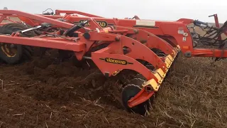 Лучший из лучших! Комбинированный культиватор Vaderstad TopDown 500 на полях Беларуси!