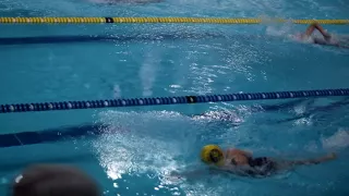 Little Children are swimming in Olympic Swimming Pool. Freestyle competition