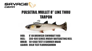 Tarpon Fishing Techniques and Tips with the Pulse Tail Mullet LT | SAVAGE GEAR