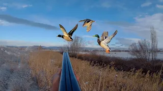 Karda Ördek Avı / Duck Hunting /Охота на уток/Caccia Alle Anatre/صيد البط