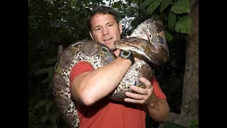 Earth LIVE Lesson with Steve Backshall : CATCH UP