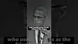 Malcolm X's powerful analogy: White America as a fox versus a wolf? #shorts #tiktok #malcolmx