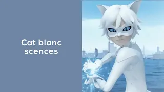 Cat blanc scenes