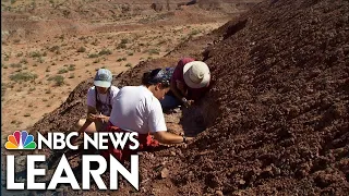 Çatalhöyük: Life in an Ancient Settlement