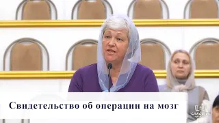 Свидетельство об операции на мозг