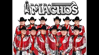 Banda Machos - Puros Exitos de Oro (Rancheras)