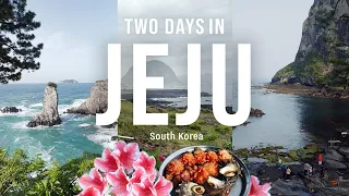 KOREA vlog | 2 days in Jeju Island. Exploring the island, Haenyeo women divers, trying raw abalone