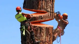 Fastest Big Chainsaw Cutting Tree Machines Skills, Incredible Tree Felling Climbing With Chainsaw