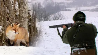 Hunting Serbia - Fox hunting in winter | Lov na lisice - Kraljevo - Zimska hajka