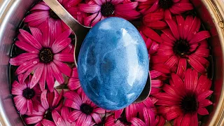 How to Dye Easter Eggs with NATURAL Dyes | DIY Easter Decor | Gift Ideas