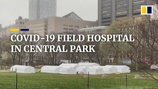 Coronavirus field hospital set up in New York’s Central Park as city’s health crisis deepens