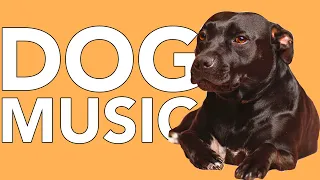 A DAY of Relaxing Music for Dogs! EXTRA-LONG 24 Hour Calming Dog Songs!