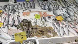 Здесь всегда свежая Рыба ! Обзор и цены Рыбного Рынка в Алании. Рыба и Морепродукты на любой вкус!