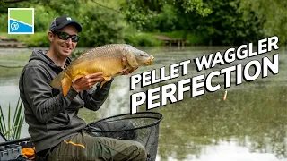 ANDY POWER’S PELLET WAGGLER SECRETS – REVEALED! 🤯