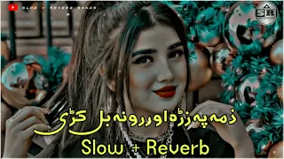 Zama Pa zara Orona Bal Kre Pashto Sad Tapay  Slowed + Reverb  #slowed #pashto #reverb #sad #viral 5