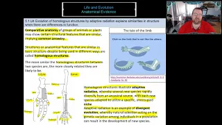 Lesson 3 - Anatomical Evidence for Evolution