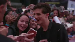 Beautiful Boy: Timothee Chalamet Red Carpet Premiere Arrivals TIFF 2018 | ScreenSlam