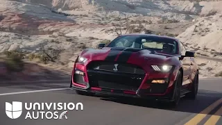 Ford Mustang Shelby GT500 2020, el Ford de producción más potente de la historia | Univison Autos