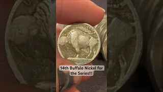 14th Buffalo Nickel for the Hunt and Fill Series!