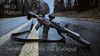 Considerations for a General Purpose 300BLK AR-15 | Minute of Man