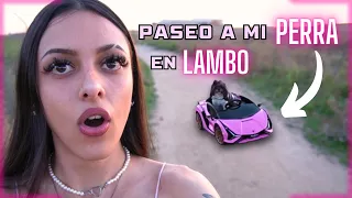 Saco a mi Perra en Lambo por la calle 👀💅🏻