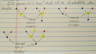 TREE(3) sequence explained to highschoolers