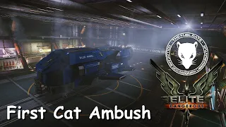 Fuel Rats - My First Cat Ambush (Elite: Dangerous)