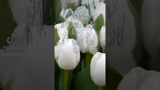 Я хочу пожелать Тебе Счастья....просто так!🕊💐🕊💐