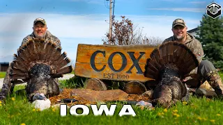 2 IOWA GOBBLERS RIGHT DOWN THE GUN!! (Jay Checks Off Iowa)
