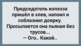 Председатель Колхоза в Хлеву Соблазнил Доярку! Сборник Свежих Анекдотов! Юмор!