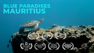 Diving MAURITIUS - Underwater Video 4K - BLUE PARADISES (S02)