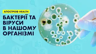 Бактерії та віруси в нашому організмі. Де вони живуть і як від них позбавитися? | Апостроф HEALTH