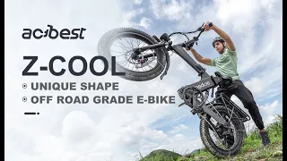 ACTBEST ZCool Foldable Electric Bike, 750W Brushless Motor Ebike, 48V 15AH Built-in Battery,