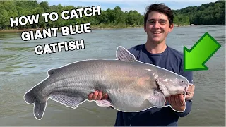 How to Catch GIANT Catfish in Washington, DC!