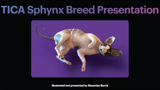 TICA Sphynx Breed Presentation