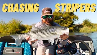 Stripers and Swimbaits on the CALIFORNIA DELTA