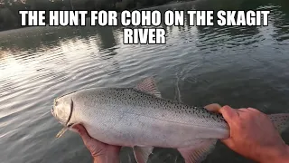 Chasing Coho In The Skagit River Washington State