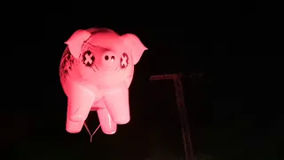 Roger Waters - Pigs (Three Different Ones) --- Live @ Lucca Summer Festival 11 Luglio 2018