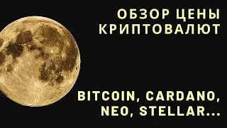 Обзор цены криптовалют - BTC, NEO, HOT, ADA, MITH, XLM, NPXS, WAN, FTM, XZC