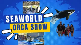 Orca Show SeaWorld San Antonio 2024